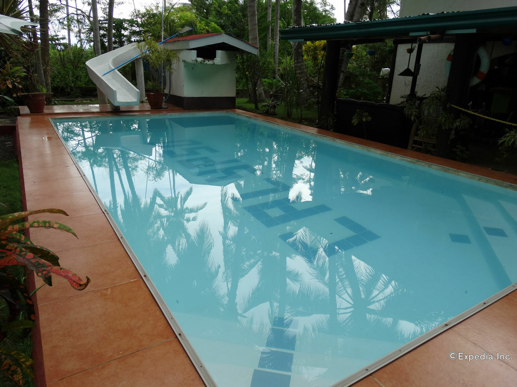 Calypso Resort Panglao Exterior foto