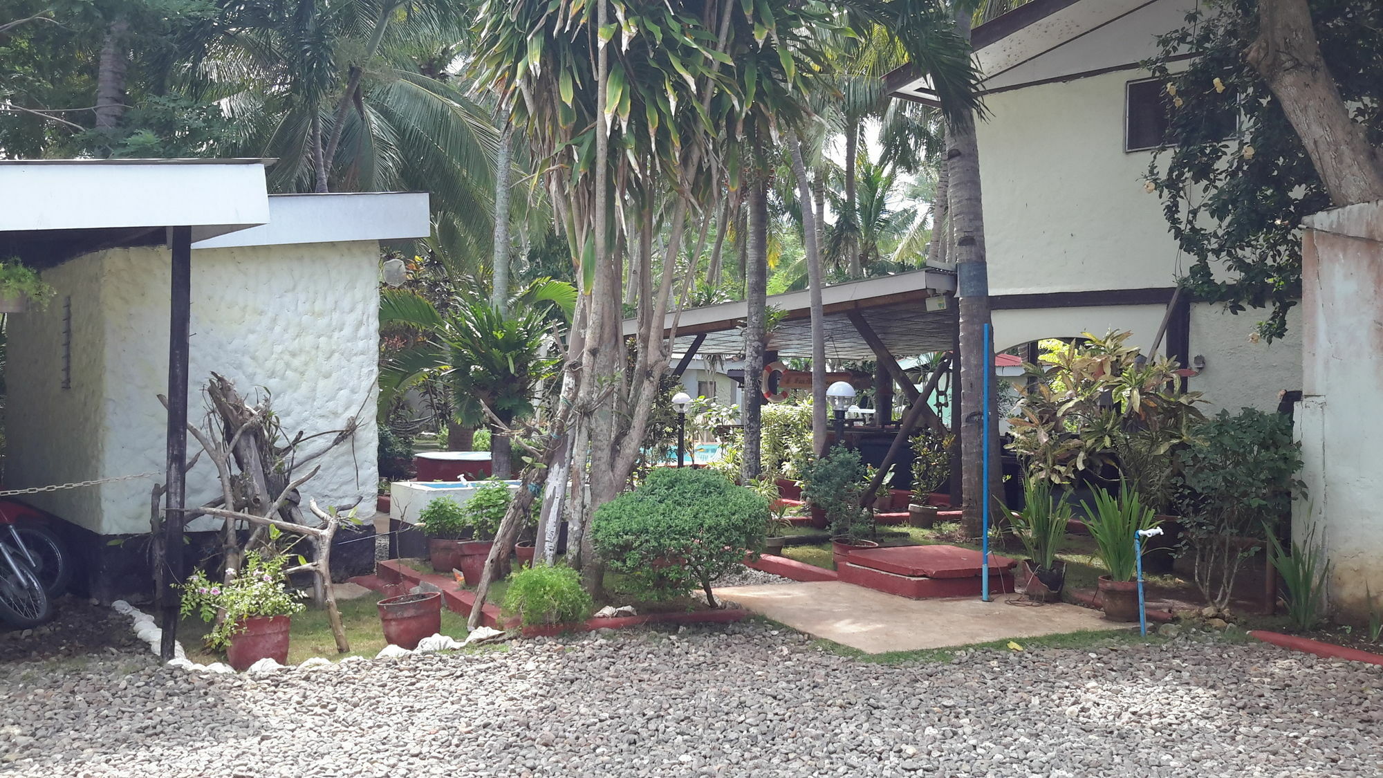 Calypso Resort Panglao Exterior foto